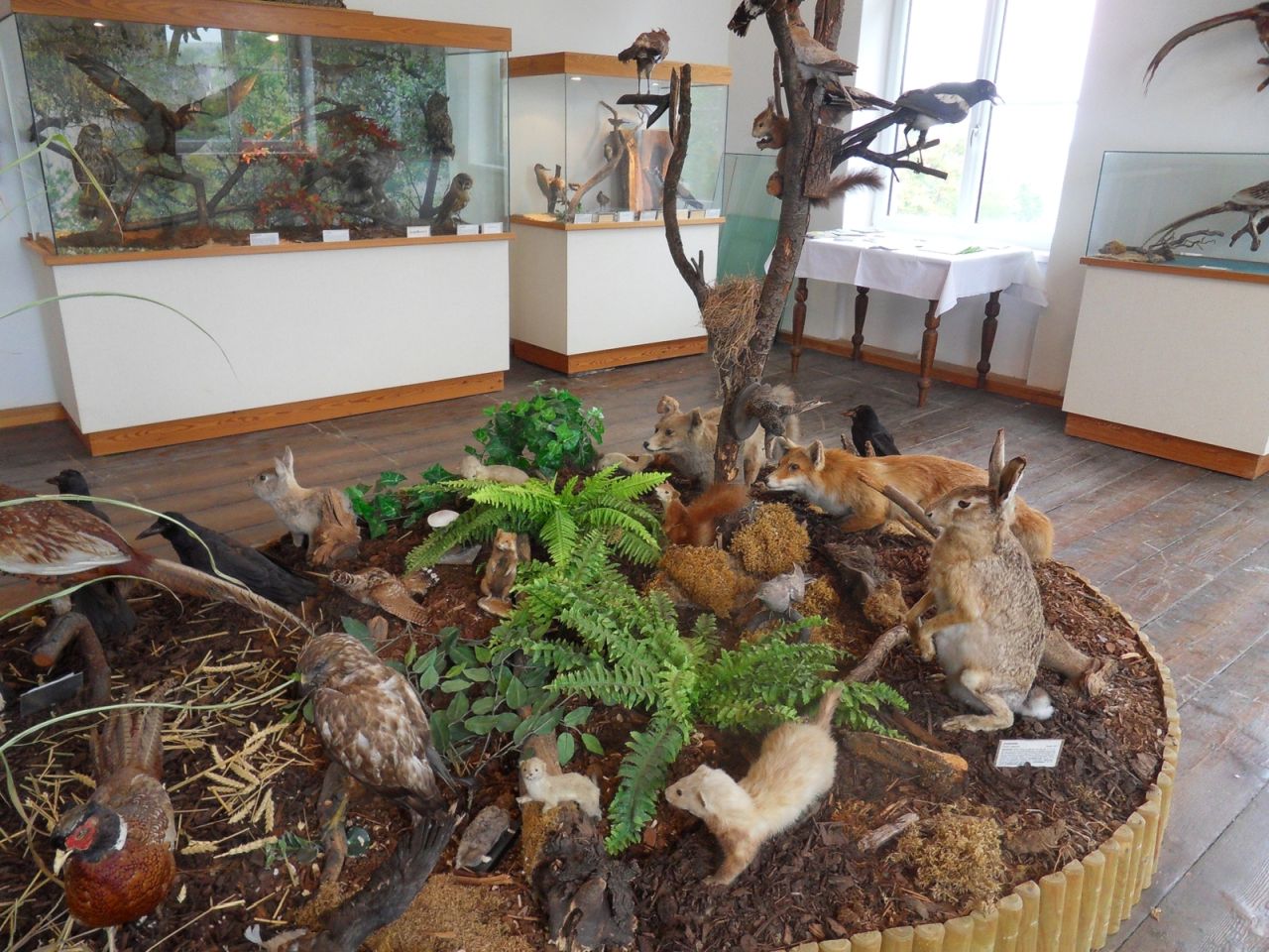 Heimatmuseum Niederabsdorf EUSEUM, Fauna der Region